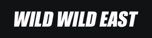 Titelbild: Wild Wild East VW-Treffen