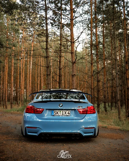 img_4865.jpeg