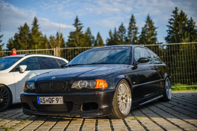 MB7_7447.jpg