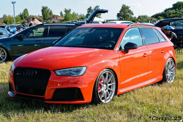 DSC_3855_DxO.jpg