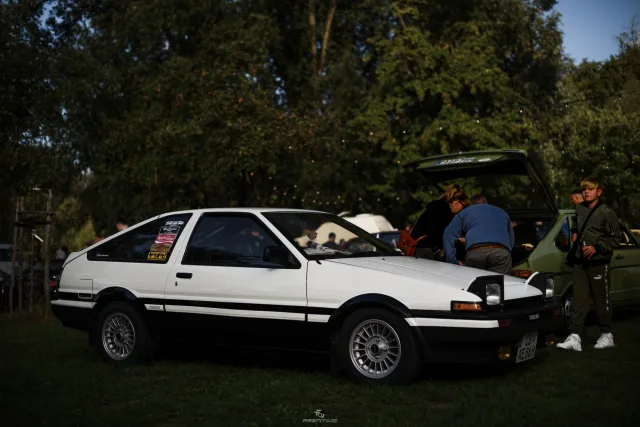 MB7_9264.jpg