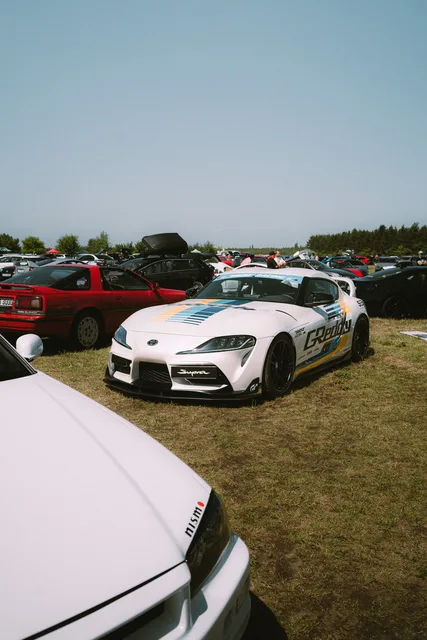 DSC00684.jpg