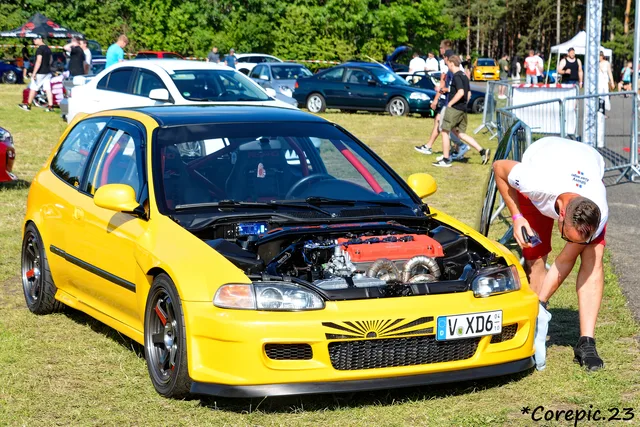 DSC_3565_DxO.jpg