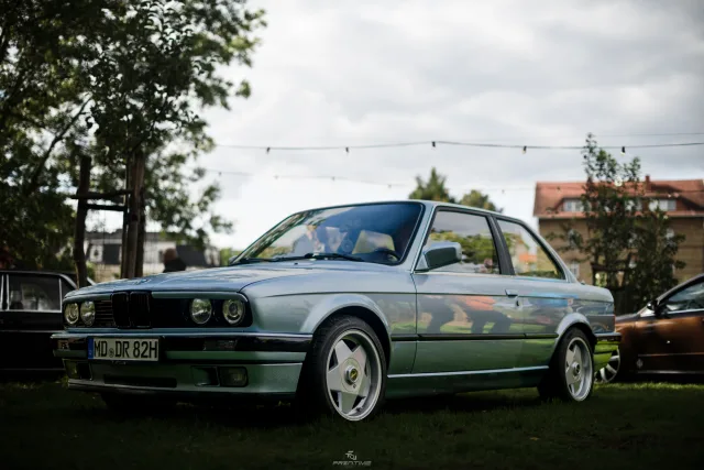 MB7_9203.jpg
