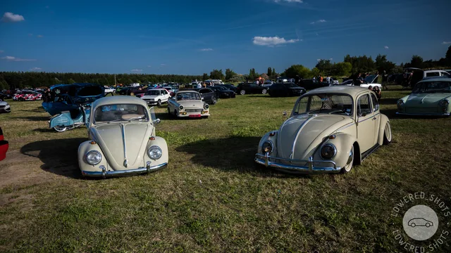 DSC_0265.jpg