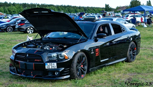 DSC_3798_DxO.jpg