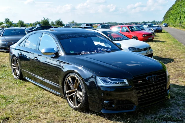 DSC_3727_DxO.jpg