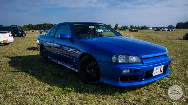 DSC_0661.jpg