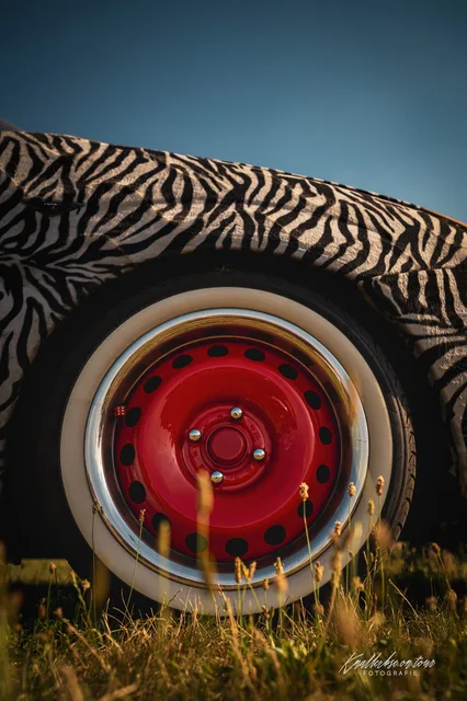2026-06-27_Cars-meet_Photographers_Das-Zebra-FF1-24.jpg