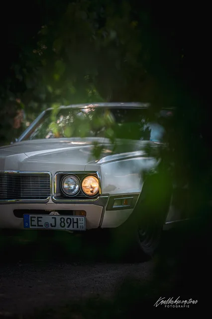 2026-06-27_Cars-meet_Photographers_Ford_Thunderbird-14.jpg