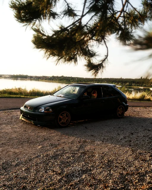 23016472.jpg