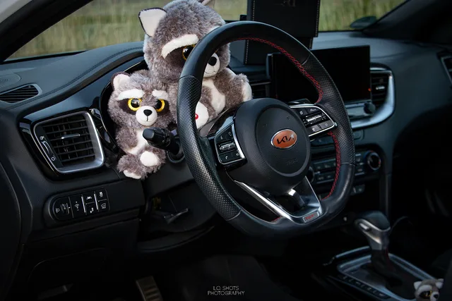 L.O.SHOTS_CmP2023_Kia_ProCeed_GT__0010_m.L._compr.jpeg