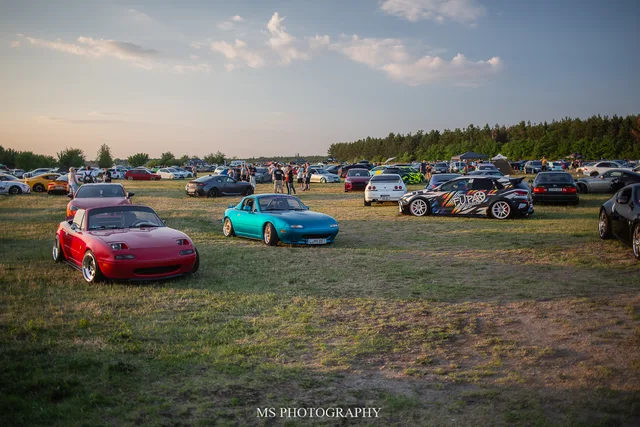 _P0A8584.jpg