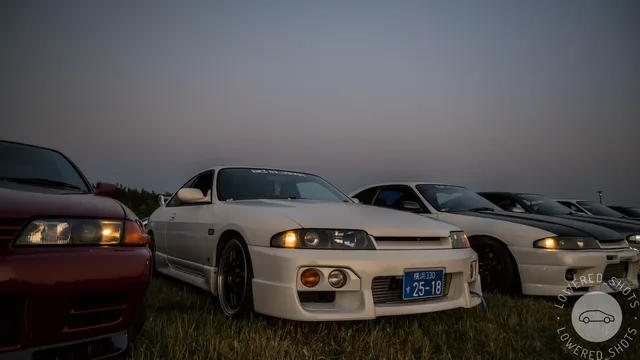 DSC_0529.jpg