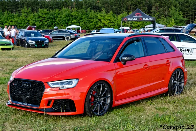 DSC_3940_DxO.jpg