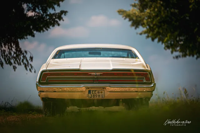 2026-06-27_Cars-meet_Photographers_Ford_Thunderbird-05.jpg