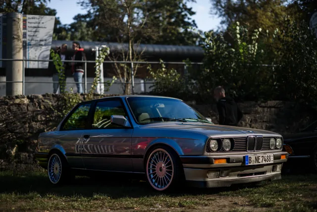 MB7_9294.jpg