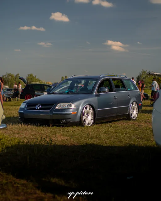 DSC08488.jpg
