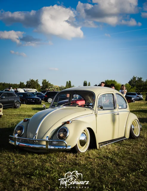 DSC_6778.jpg
