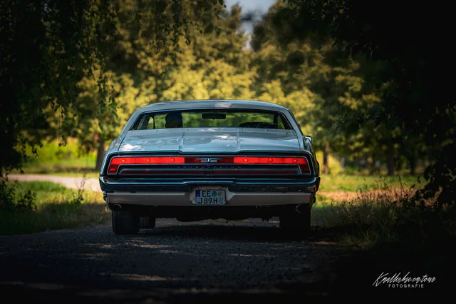 2026-06-27_Cars-meet_Photographers_Ford_Thunderbird-11.jpg