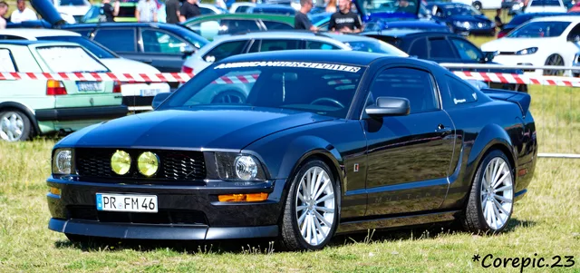 DSC_3390_DxO.jpg