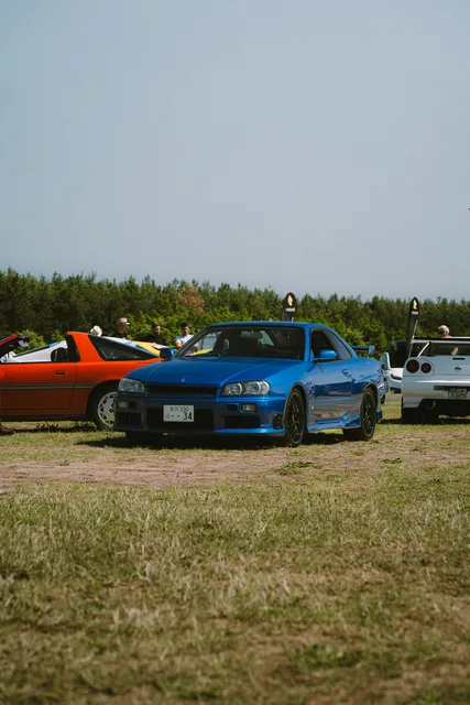 DSC00871.jpg
