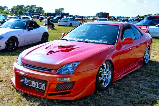 DSC_3612_DxO.jpg