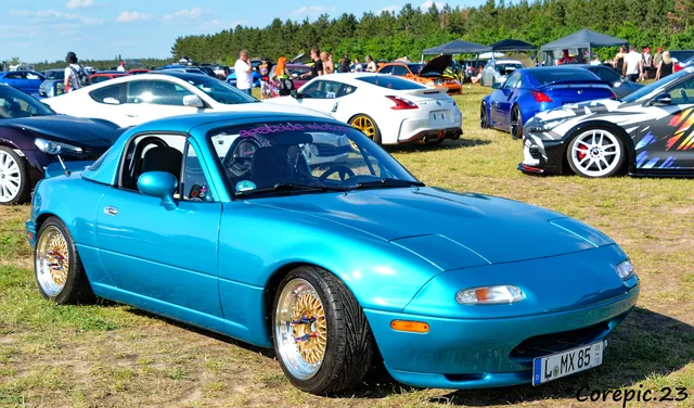 DSC_3547_DxO.jpg