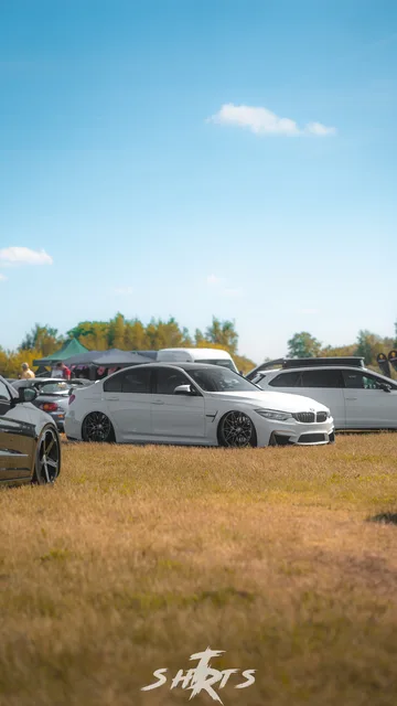_SA70243.jpg