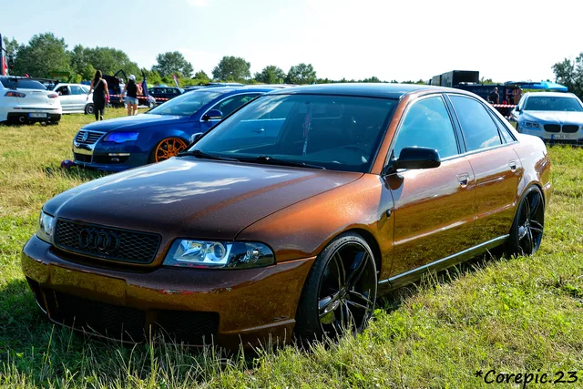 DSC_3661_DxO.jpg