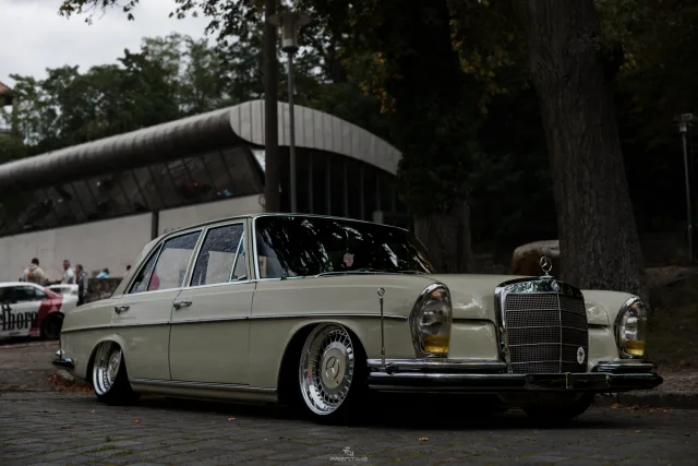 MB7_9140.jpg
