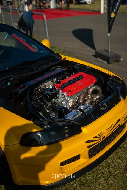 _2JK5195.jpg