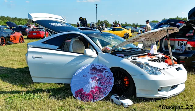 DSC_3542_DxO.jpg
