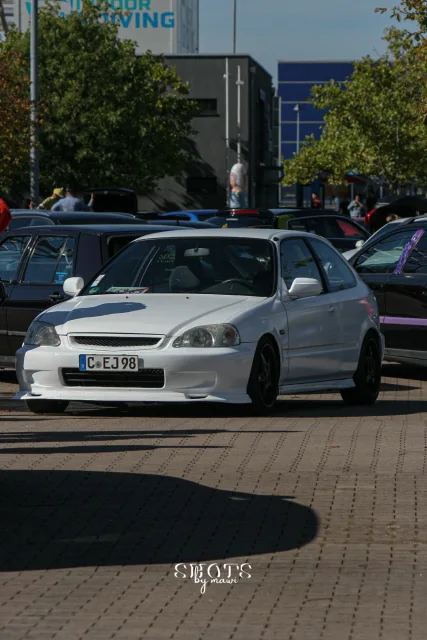 IMG_6875.jpg