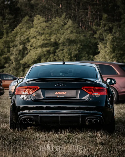 565A7995 (1).jpg