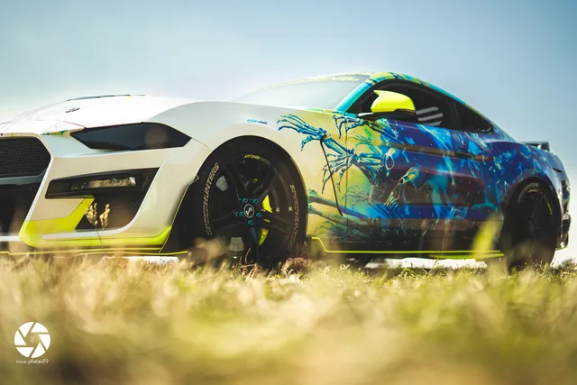 CmP 2023-168.jpg