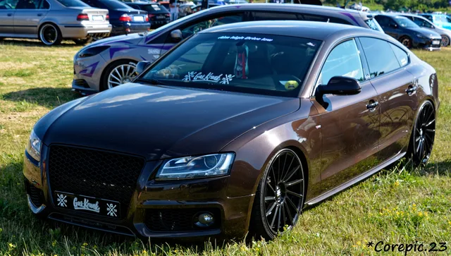 DSC_3702_DxO.jpg