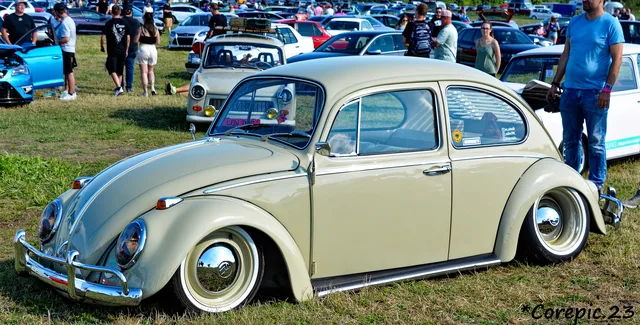 DSC_3493_DxO.jpg