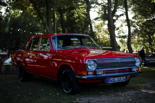 MB7_9286.jpg