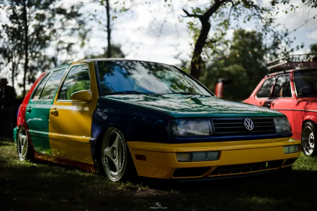MB7_9210.jpg