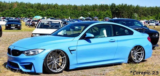 DSC_3394_DxO.jpg