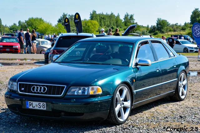 DSC_3452_DxO.jpg