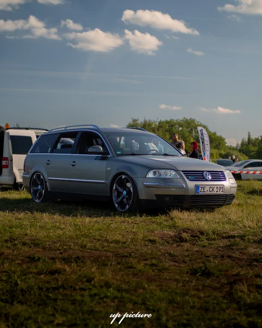 DSC08486.jpg