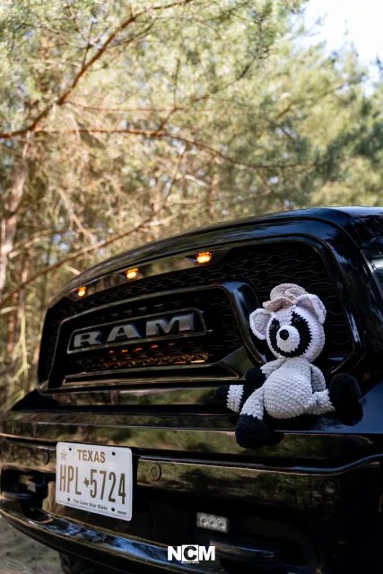 VIP Shooting 01 - Dodge RAM - @tobiasduff1500_