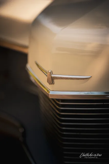 2026-06-27_Cars-meet_Photographers_Ford_Thunderbird-02.jpg