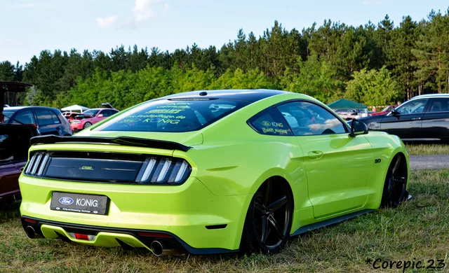 DSC_3931_DxO.jpg