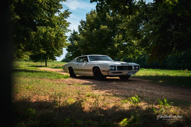 2026-06-27_Cars-meet_Photographers_Ford_Thunderbird-15.jpg