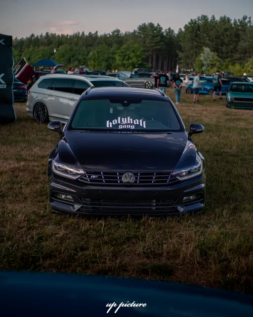 DSC08545.jpg
