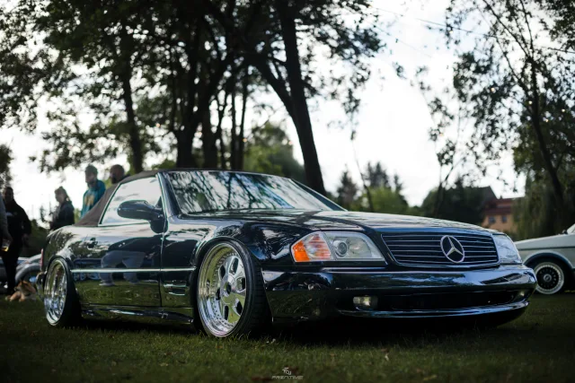 MB7_9248.jpg
