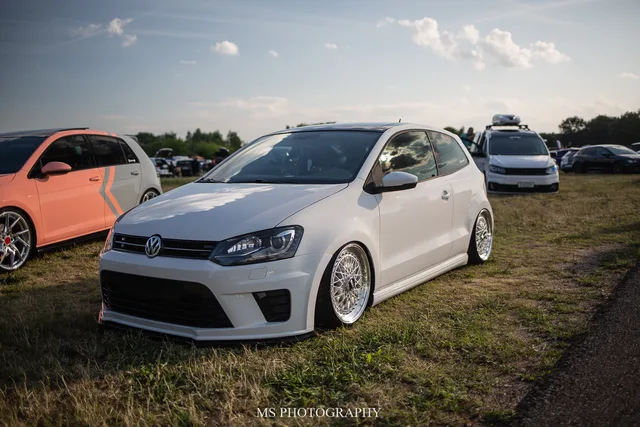 _P0A8473.jpg